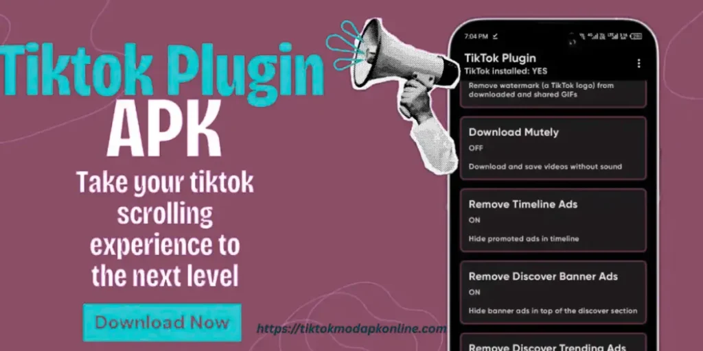 TIK TOK plugin for WordPress websites